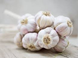 Organic Garlic