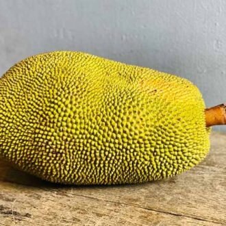 Jack Fruit